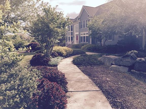 Shrubs picked for color