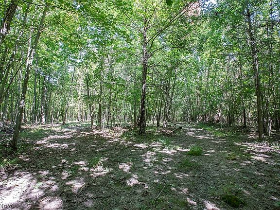 5th image of Dunham Rd Lot 2