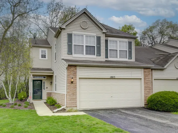 1003 Brush Hill Cir, Joliet, IL 60432