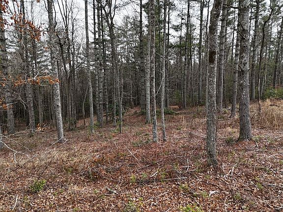 3rd image of LOT 62 Nathaniels Way