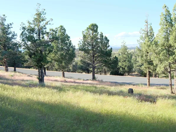 1 Palomino Rd Lot 53, Weed, CA 96094