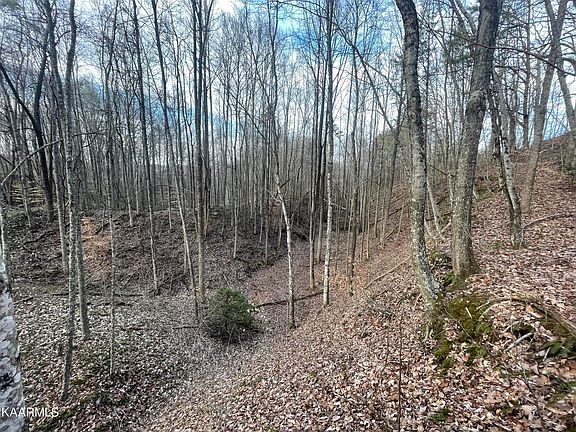 2nd image of Stephen Ln