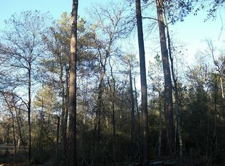 30526 Lake Rd, Waller, TX 77484