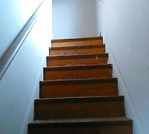 5th image of 1006 Schiff Ave #2