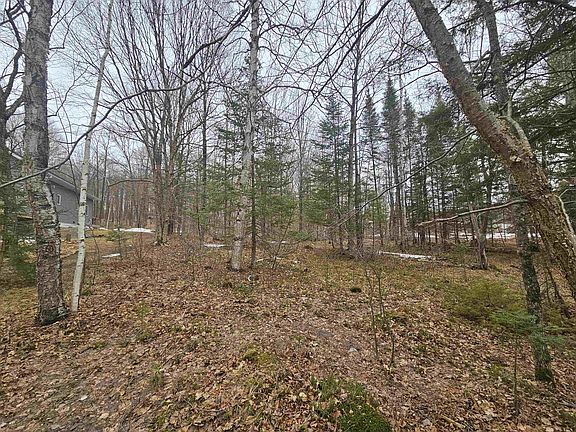 4th image of Porcupine Lake Rd