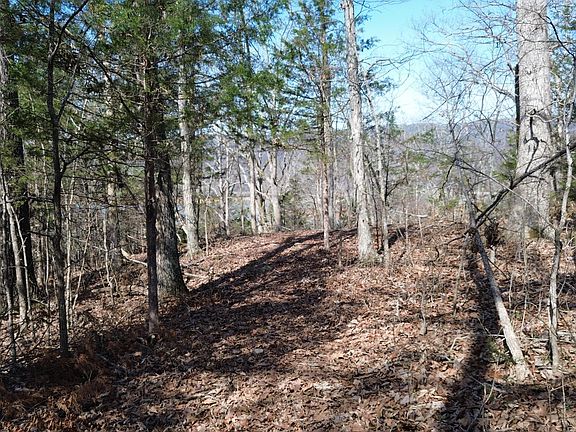 4th image of 7 Kickin True Way