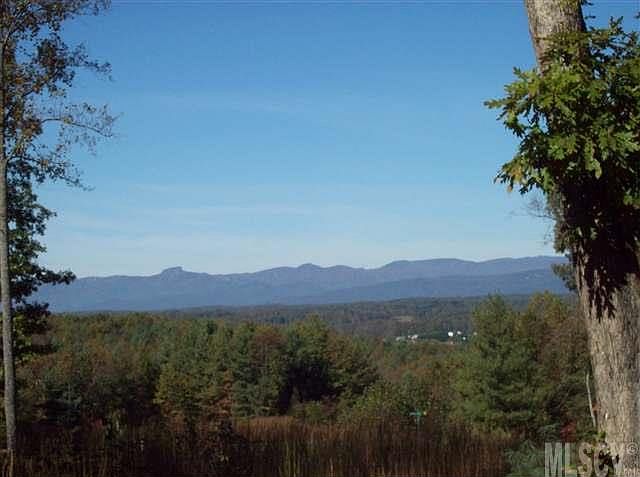 2nd image of 3123 Bear Trail Dr