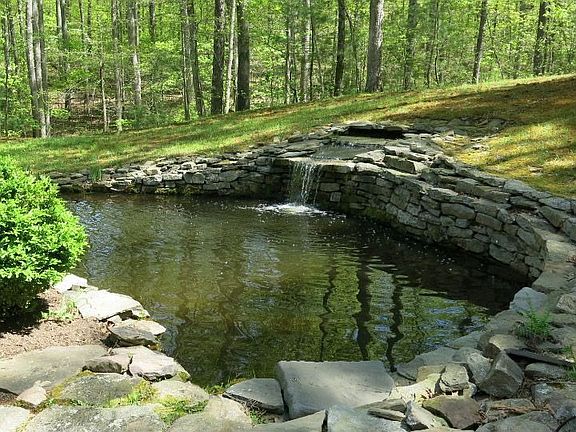 Koi Pond
