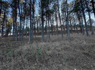LOT 1 Lechner Ln, Custer, SD 57730
