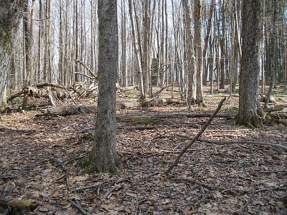 4th image of 0 Mohawk Lake Rd