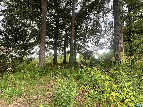 5th image of 16 Bluff Dr