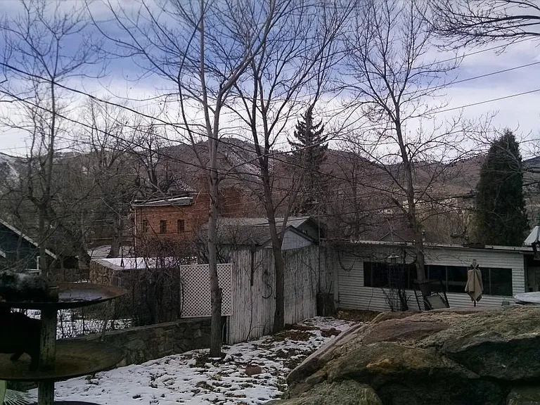 View from patio