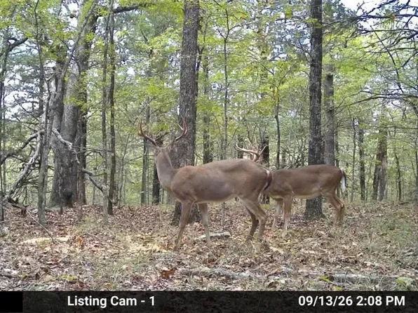 80/ACRE S Mc 164, Peel, AR 72668
