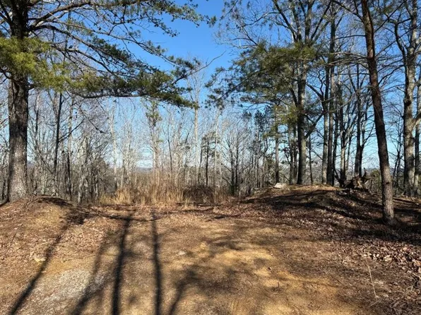 48 Antler Ct #48, Ranger, GA 30734