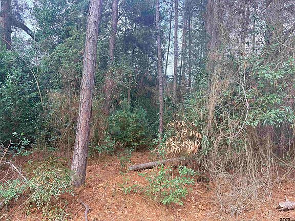 2nd image of 406 Janis Dr