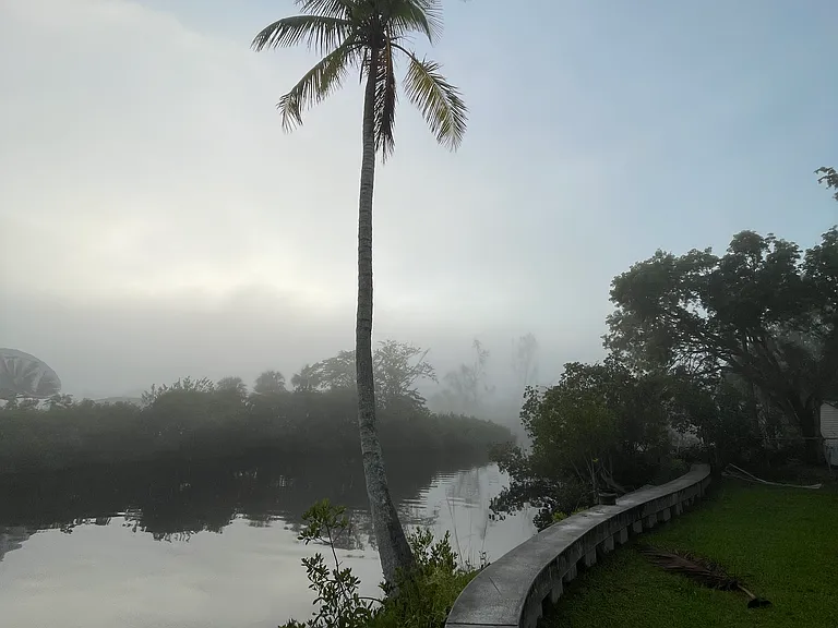 View from the dock up Billy's Creek on a misty morning