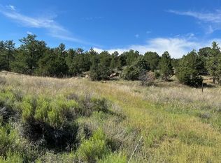 137 Ferris Dr, Westcliffe, CO 81252