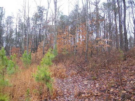 4th image of Dogwood Ln