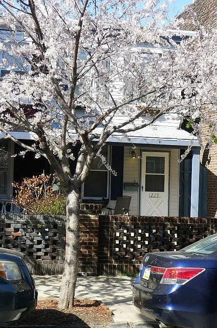 Building Photo - 1229 Ellsworth St