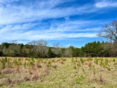 0 Highway 24 St, Liberty, MS, 39645