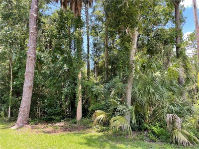 0 60th St, Yankeetown, FL, 34498