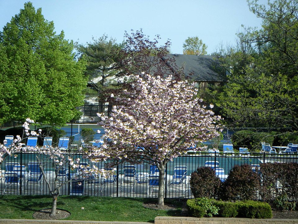 View From Balcony