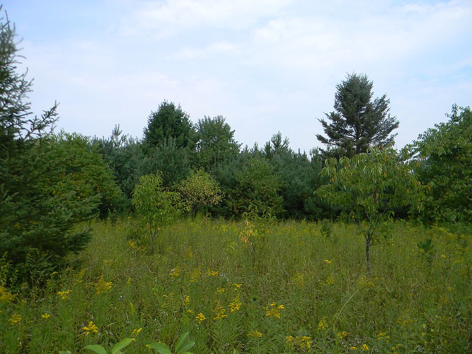 1st image of 33157 Paavola Road