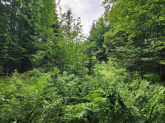 4th image of Lot 3 North Mountain Pond Road #R11/2-1