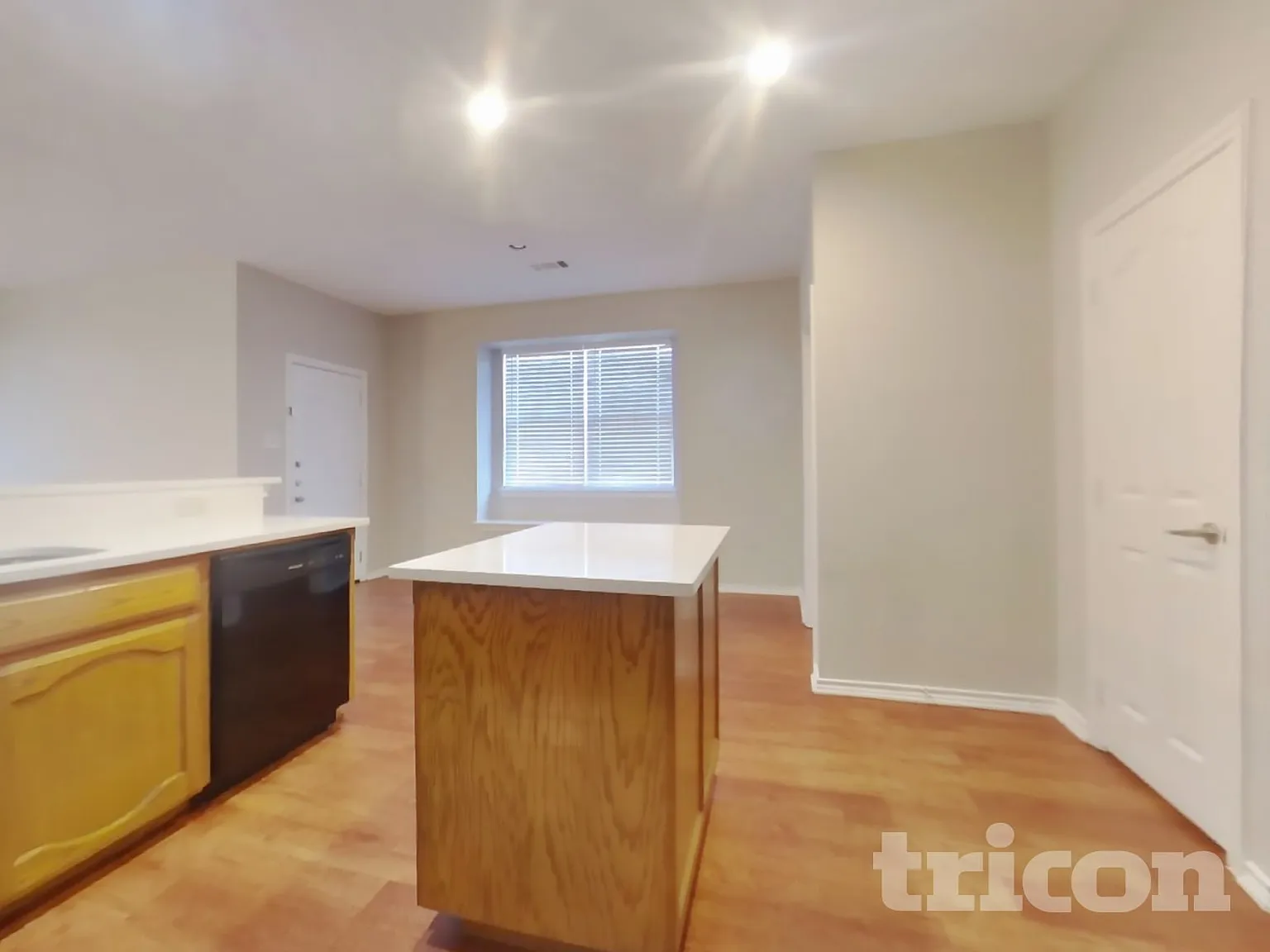 3729 Summersville Lane Fort Worth TX — Photo 3