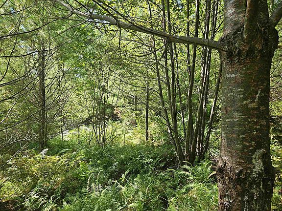 5th image of Lot 3.2 Off Parker Road