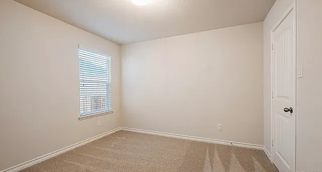 6514 Encore Oaks — Photo 18