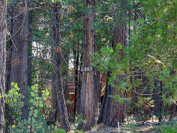 5th image of 2463 Grenoble Dr