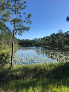 1521 Dune Lake Trl, Panama City Beach, FL, 32413