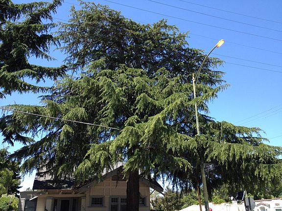 3rd image of (Undisclosed Address)
