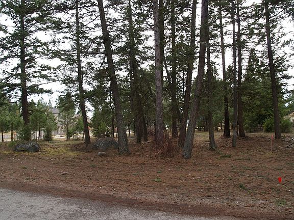 Mature trees