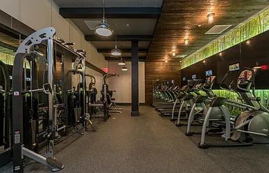 Rented by Bold New York