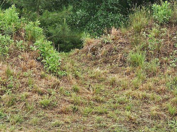 5th image of 1372 County Road 1 Rd N