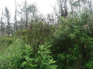 LOT 11 Lot 11, Volcano, HI 96785