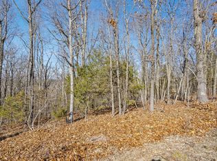 18 Midview Dr, Kimberling City, MO 65686