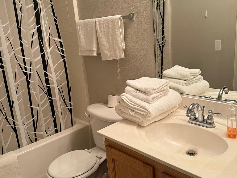 4640 Swaying Palms Dr — Photo 10
