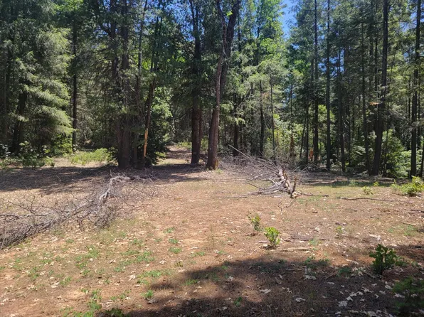 Acres 12 Ringtail, Georgetown, CA 95634
