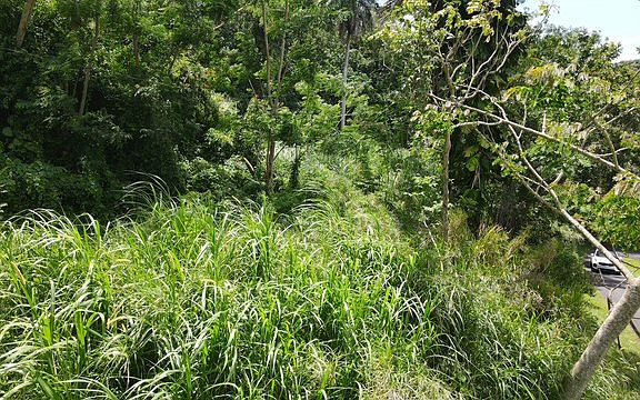 4th image of State Route 174 Km Guaraguao #8.5