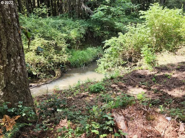 501 Carpenter Byp, Lorane, OR 97451