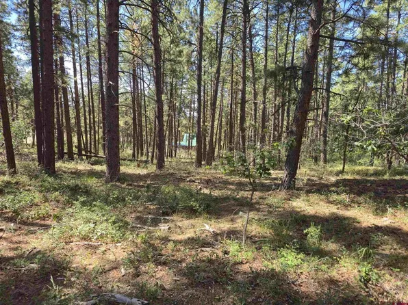 256 and 194 Blue Ridge Drive, Bayfield, CO 81122