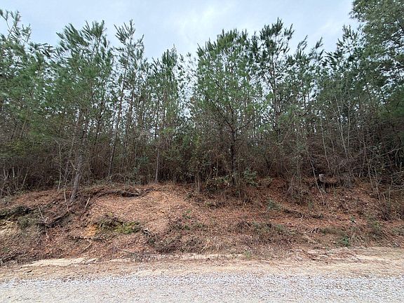 5th image of Bff Ii 2 J C Barefoot Rd