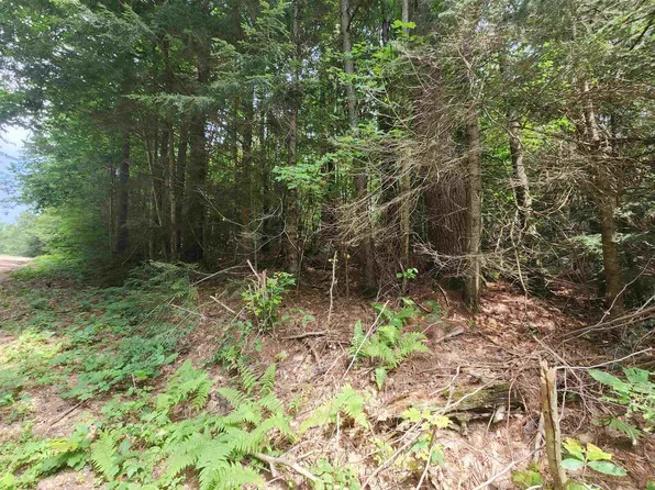 Lot #180 Kinsman Road, Haverhill, NH 03765