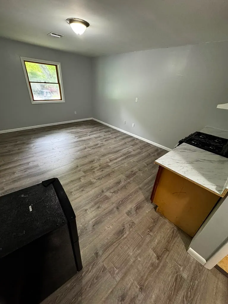 Studio, 264 sqft, $1,100 — Photo 3