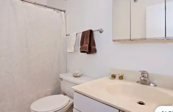 1212 N Lasalle St #1904 — Photo 13