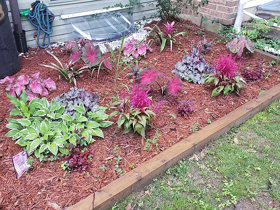 Colorful folliage awaits you!