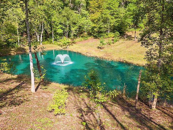 4th image of 6057 Stone Cliff Lane Trl #6